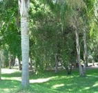 Lismore Palms Caravan Park - Sunshine Coast Tourism