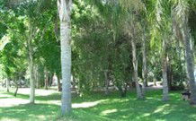 Lismore Palms Caravan Park - Sunshine Coast Tourism 0