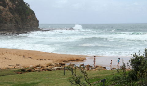 Little Beach Campground - Sunshine Coast Tourism 1