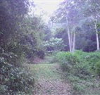 Macas Camping Ground - Holiday Sunshine Coast