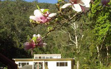 Mangrove Yoga Ashram - Sunshine Coast Tourism 2