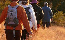 Mangrove Yoga Ashram - Sunshine Coast Tourism 3