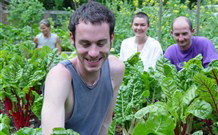 Mangrove Yoga Ashram - Sunshine Coast Tourism 8
