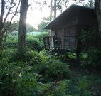 Melaleuca Surfside Backpackers - Holiday Sunshine Coast