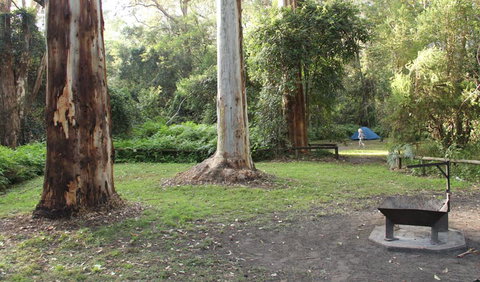 Mill Creek Campground - Sunshine Coast Tourism 2