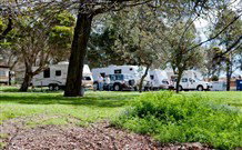 Moss Vale Caravan Park - Sunshine Coast Tourism 1