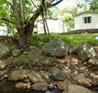 Mt Warning Rainforest Park - Sunshine Coast Tourism