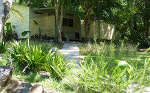 Mt Warning Rainforest Park - Sunshine Coast Tourism 5