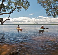 Mungo Brush campground - Sunshine Coast Tourism