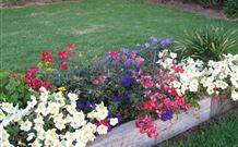 Narromine Tourist Park And Motel - Sunshine Coast Tourism 1