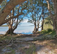 Neranie Campground - Sunshine Coast Tourism