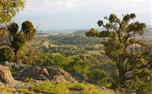 Old Bara - Sunshine Coast Tourism 6