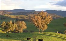 Old Bara - Sunshine Coast Tourism 7