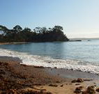 Pleasurelea Tourist Resort and Caravan Park - Sunshine Coast Tourism