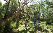 Port Stephens Treescape - Sunshine Coast Tourism 4
