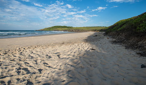 Racecourse Campground - Holiday Sunshine Coast 2