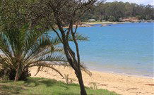 Sapphire Sun Eco Holiday Village - Eden - Sunshine Coast Tourism 0