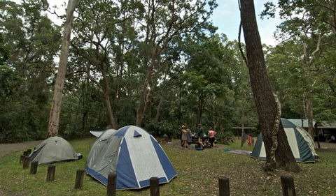 Sheepstation Creek Campground - Holiday Sunshine Coast 2