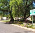Spicer Caravan Park - Sunshine Coast Tourism