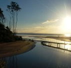Spot X Surf - Sunshine Coast Tourism