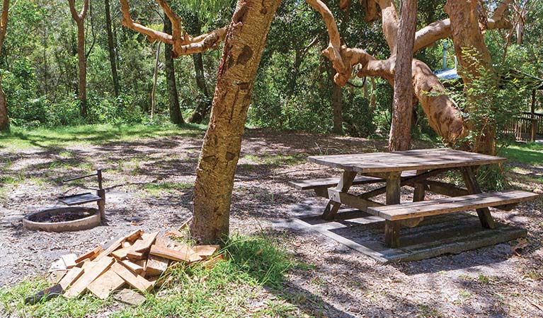 Whiteman Creek NSW Sunshine Coast Tourism