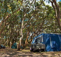 Stewart and Lloyds campground - Sunshine Coast Tourism
