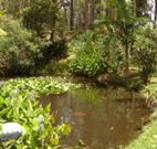 Tallowood Ridge B and B - Sunshine Coast Tourism