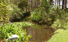 Tallowood Ridge B And B - Holiday Sunshine Coast 0