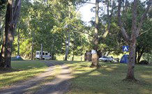 The Channon Village Campground - Sunshine Coast Tourism 0