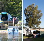 Kon Tiki Apartments - Sunshine Coast Tourism