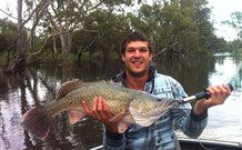 Wanganella Creek Camp Park - Holiday Sunshine Coast 1