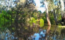 Wanganella Creek Camp Park - Holiday Sunshine Coast 2