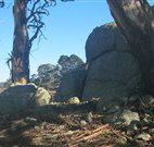 Warreen Farmstay Rural Accommodation - Sunshine Coast Tourism