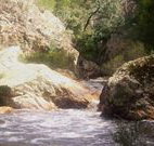 Wee Jasper Reserves Camping Sites - Sunshine Coast Tourism