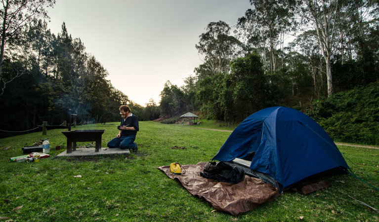 Dewitt NSW Sunshine Coast Tourism
