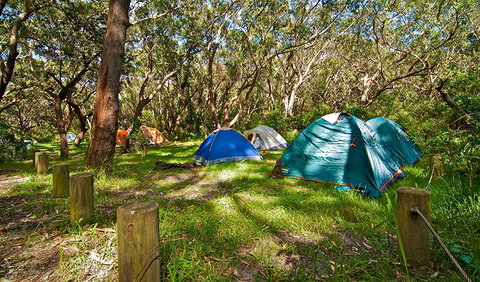 Yagon Campground - Sunshine Coast Tourism 2
