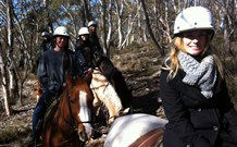 JE Resort (Jindabyne Equestrian Resort) - Holiday Sunshine Coast 1