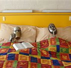 Budget Winchester Motel - Moree - Sunshine Coast Tourism