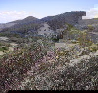 Blackbird Flat Camping Ground - Sunshine Coast Tourism