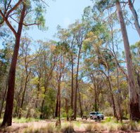 Coolah Tops National Park Camping