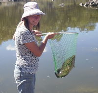 Bullock Mountain Homestead