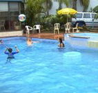 Golden Chain Palm Court Motor Inn - Port Macquarie - Sunshine Coast Tourism