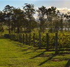 H Boutique Hotel - Pokolbin - Holiday Sunshine Coast