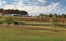 H Boutique Hotel - Pokolbin - Sunshine Coast Tourism 7