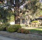 Hamilton Hume Motor Inn - Yass - Sunshine Coast Tourism