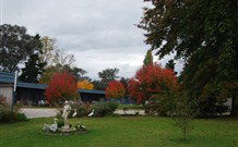 Holbrook Settlers Motel - Holbrook - Holiday Sunshine Coast 0