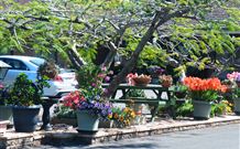 Milgate Motel - Casino - Sunshine Coast Tourism 2