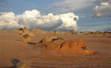 Mungo Lodge Tours And Accommodation - Sunshine Coast Tourism 7