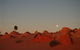 Mungo Lodge Tours And Accommodation - thumb 8