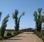 Newell Motor Inn - Narrandera - Sunshine Coast Tourism